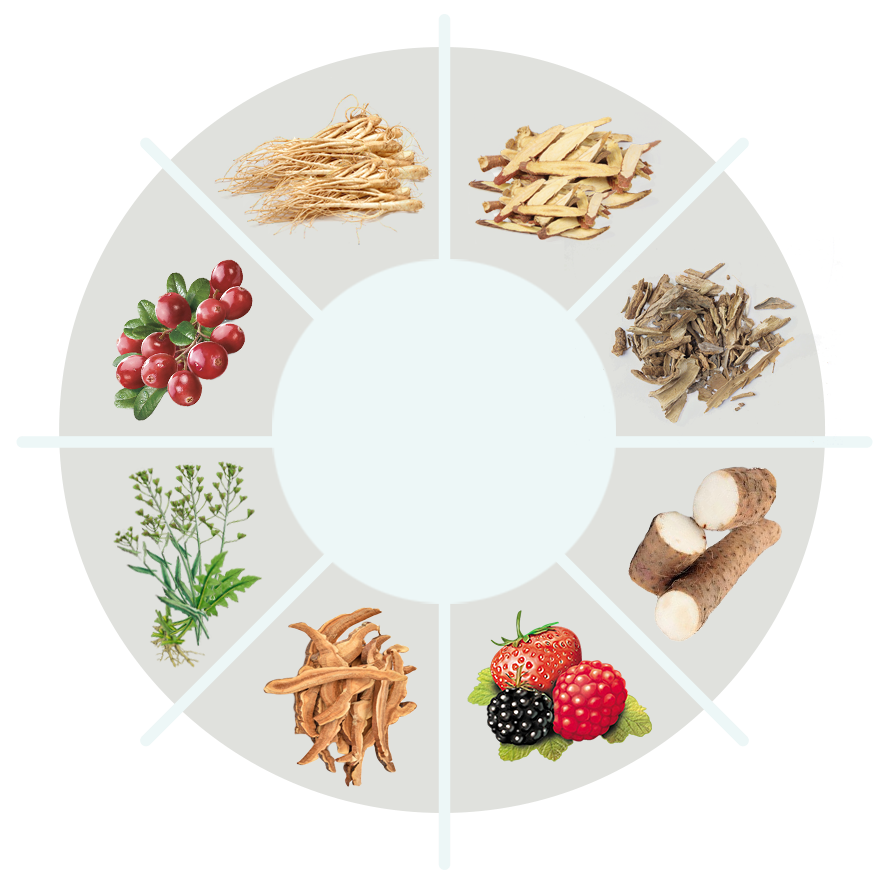 Quietum Plus ingredient visual